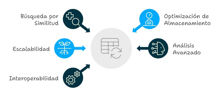 Beneficios de vectorizar una base de datos